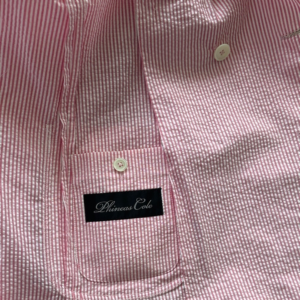Phineas Cole Men's Pink Striped Double-Breasted Blazer - Picture 9 of 13